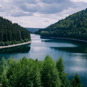 A river surrounded by forests under a cloudy sky in Thuringia in Germany - great for natural concepts